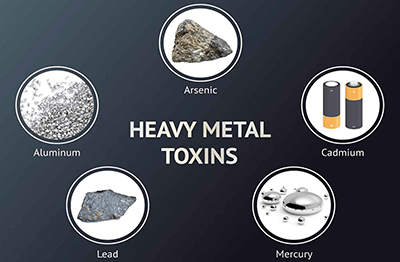 heavy toxins