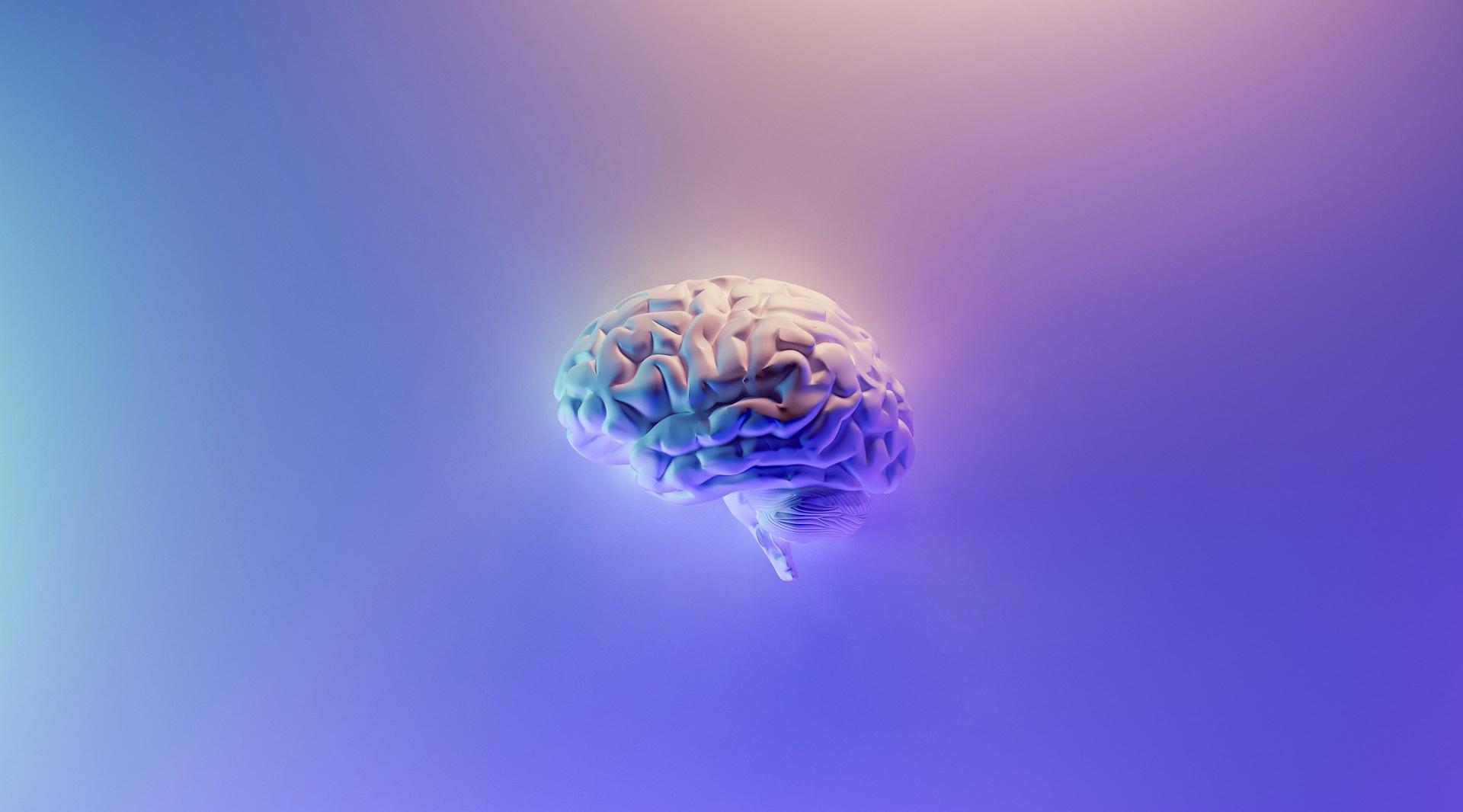 Exploring Cerebrolysin: A Potential Brain Booster for Cognitive Health