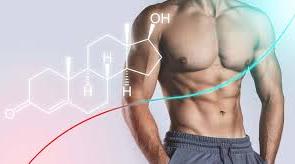 Understanding Testosterone Replacement Therapy (TRT): An In-Depth Guide