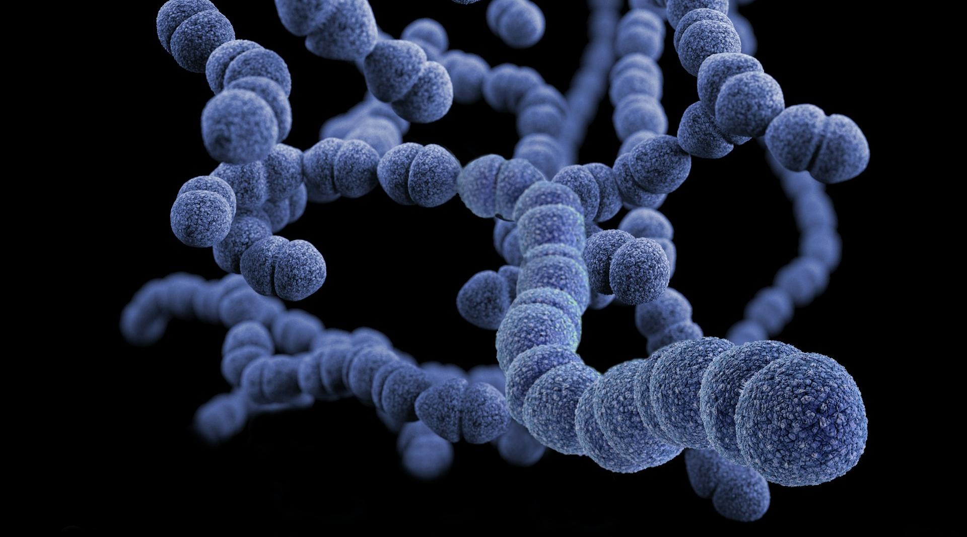 Understanding the Human Microbiome: Key Insights into Gut Health and Overall Well-being
