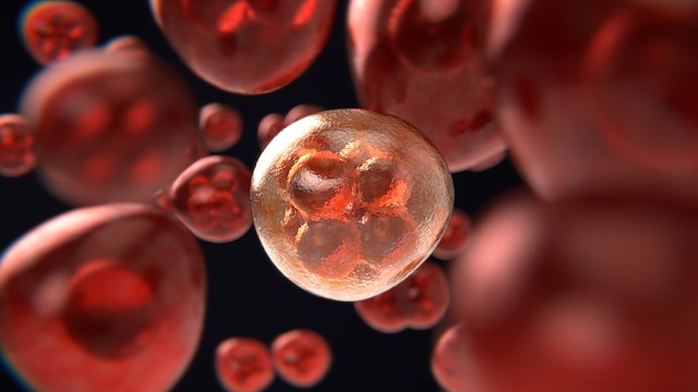 Natural Killer Cells and Cancer:
